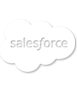 Salesforce Customization & Integration Services